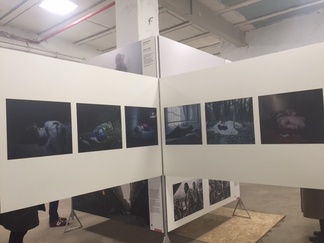 Vapaa-ajalla katsomassa World Press Photo 16, Työpaikkojen rauhantoimikunnan Pietarin seminaarimatka 2016